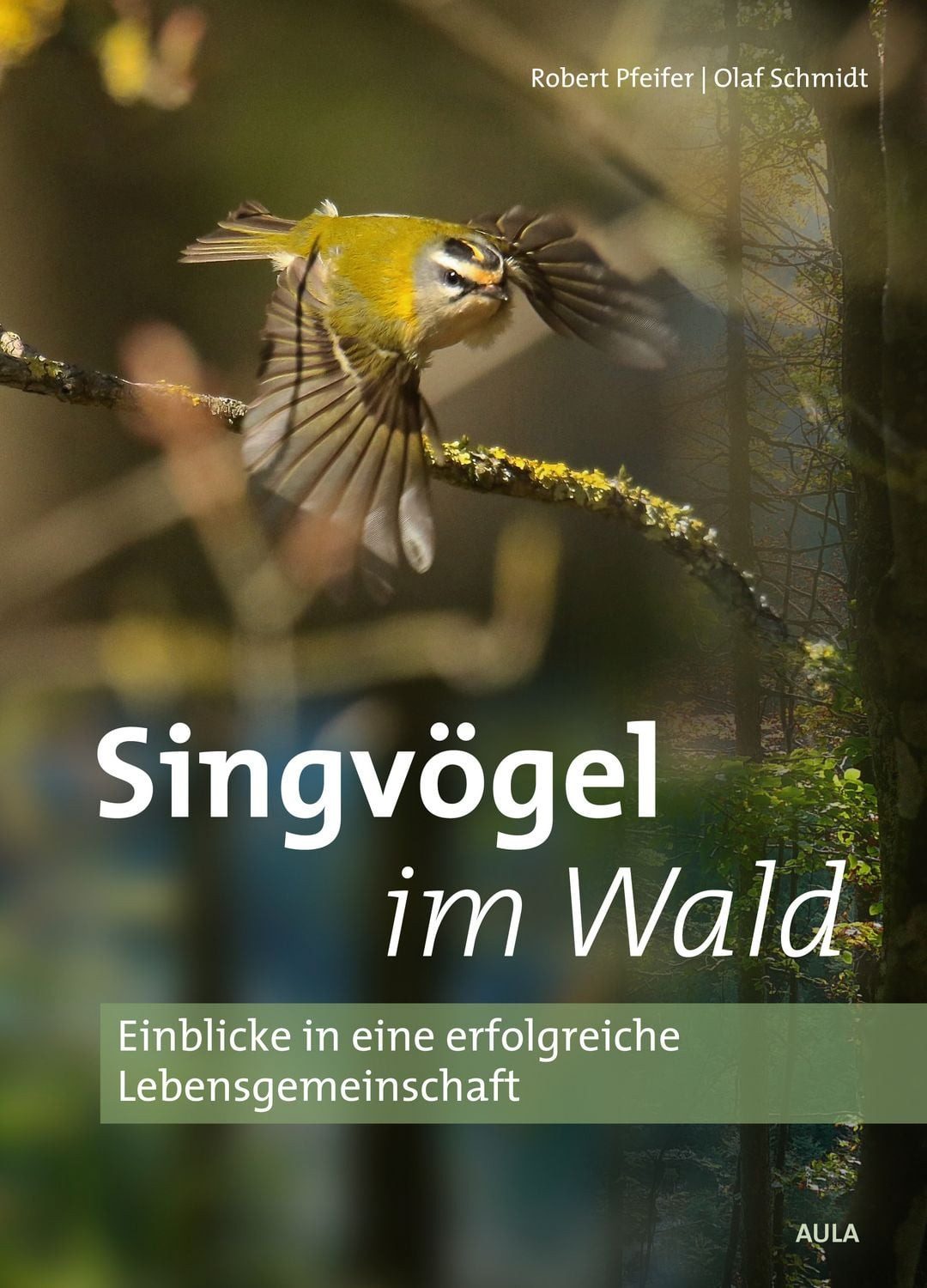 Singvögel im Wald / Robert Pfeifer, Olaf Schmidt