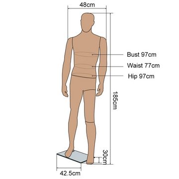 Mucola Anziehpuppe Schaufensterpuppe Schneiderpuppe 185CM Männlich Mannequin Manichino (Einzelstück, 1-tlg)