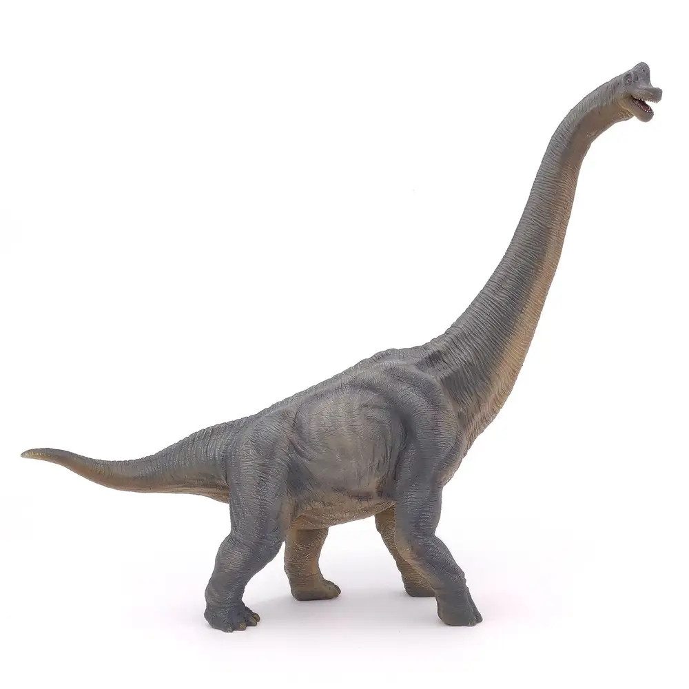 papo Actionfigur Papo 55030 Brachiosaurus