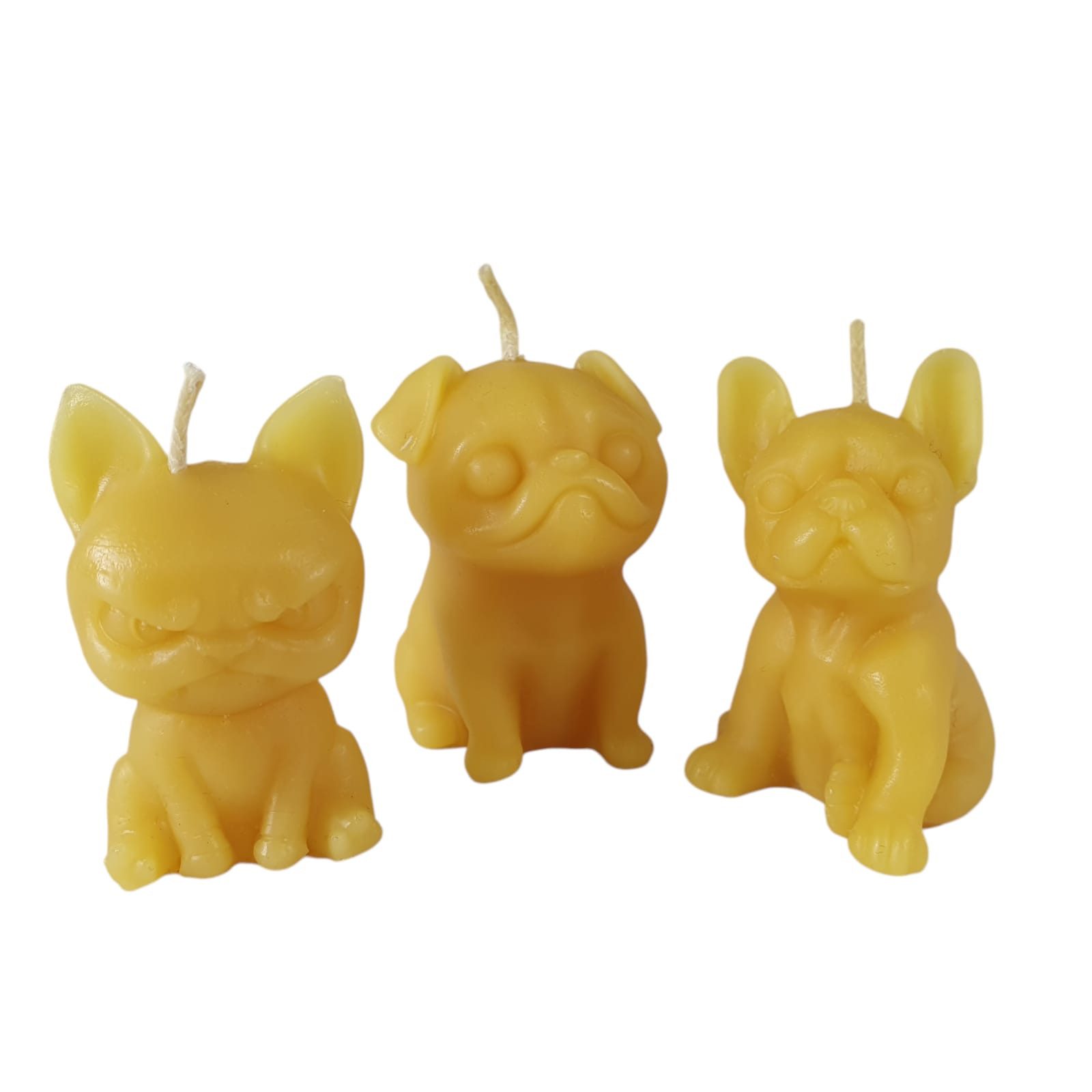 Aspinaworld Formkerze Bienenwachskerze Hunde Kerze im 3er Set 5 cm