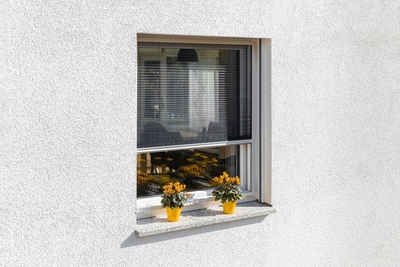 SCHELLENBERG Insektenschutz-Fensterrahmen für Fenster, Insektenschutzplissee, 140 x 150 cm, weiß, 70992