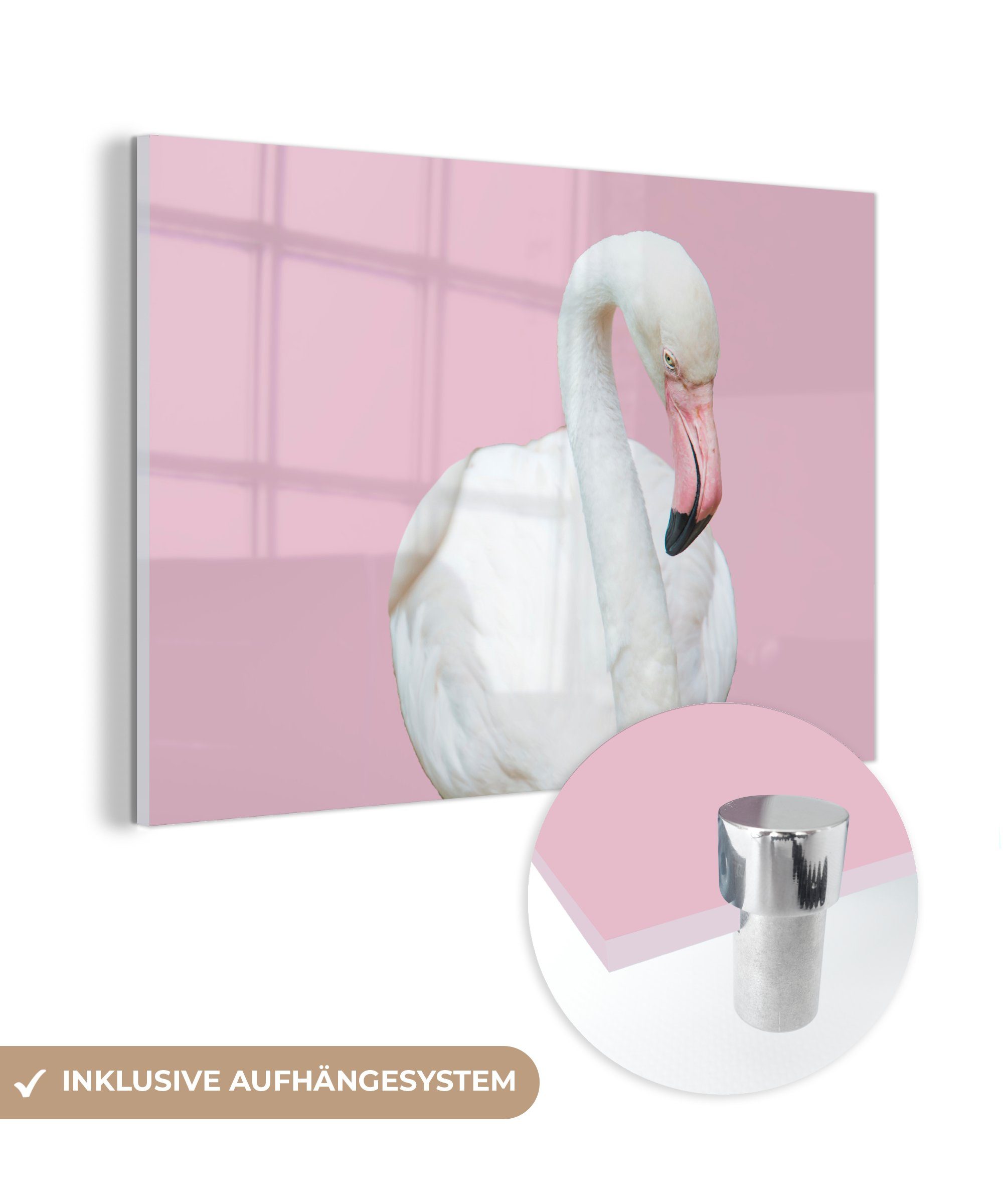 MuchoWow Acrylglasbild Weißer Flamingo, (1 St), Acrylglasbilder Wohnzimmer & Schlafzimmer