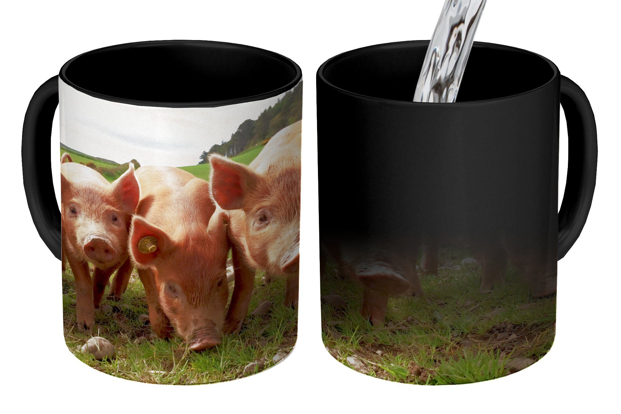 Schwein Tier, Tasse - Kaffeetassen, Gras MuchoWow Keramik, Farbwechsel, - Geschenk Teetasse, Zaubertasse,