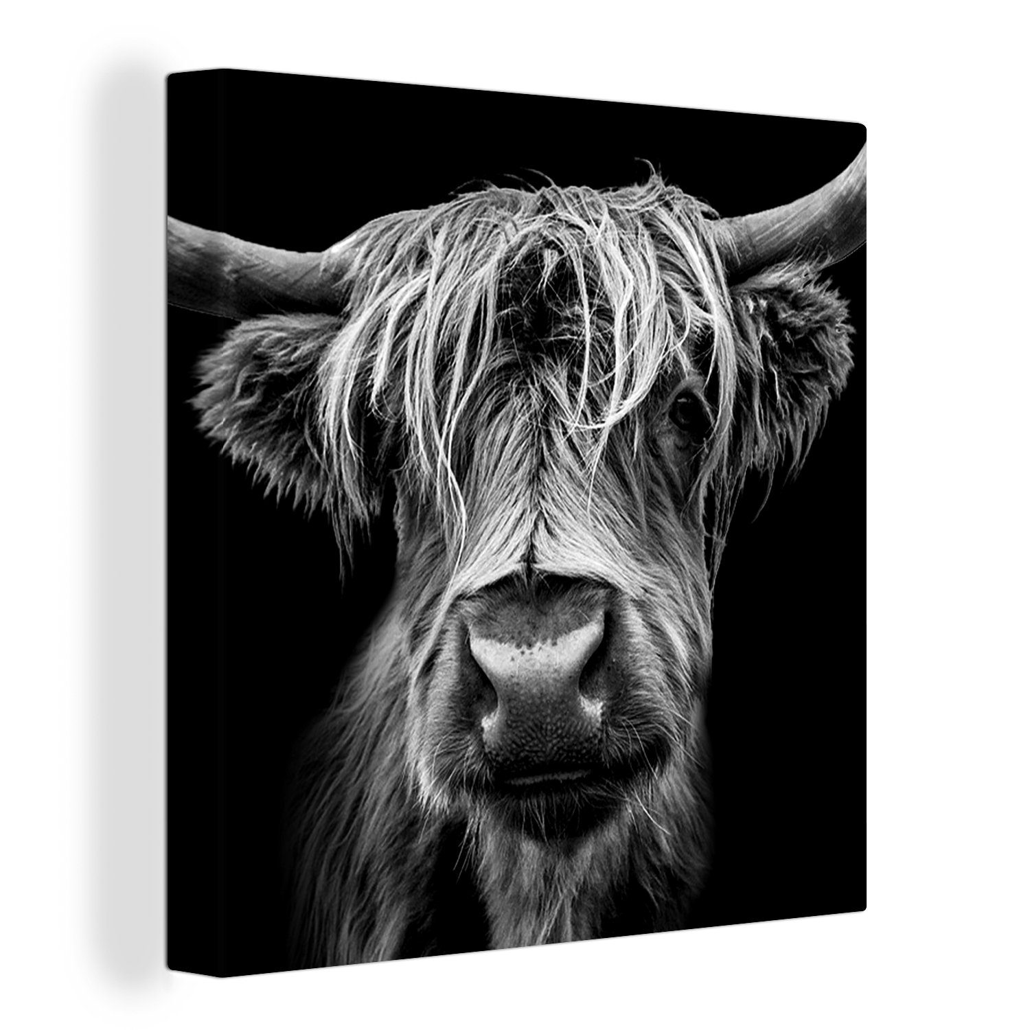 OneMillionCanvasses® Leinwandbild Schottischer Highlander - Hörner - Schwarz - Weiß - Kuh - Wild - Tiere, (1 St), Leinwand Bilder für Wohnzimmer Schlafzimmer bunt