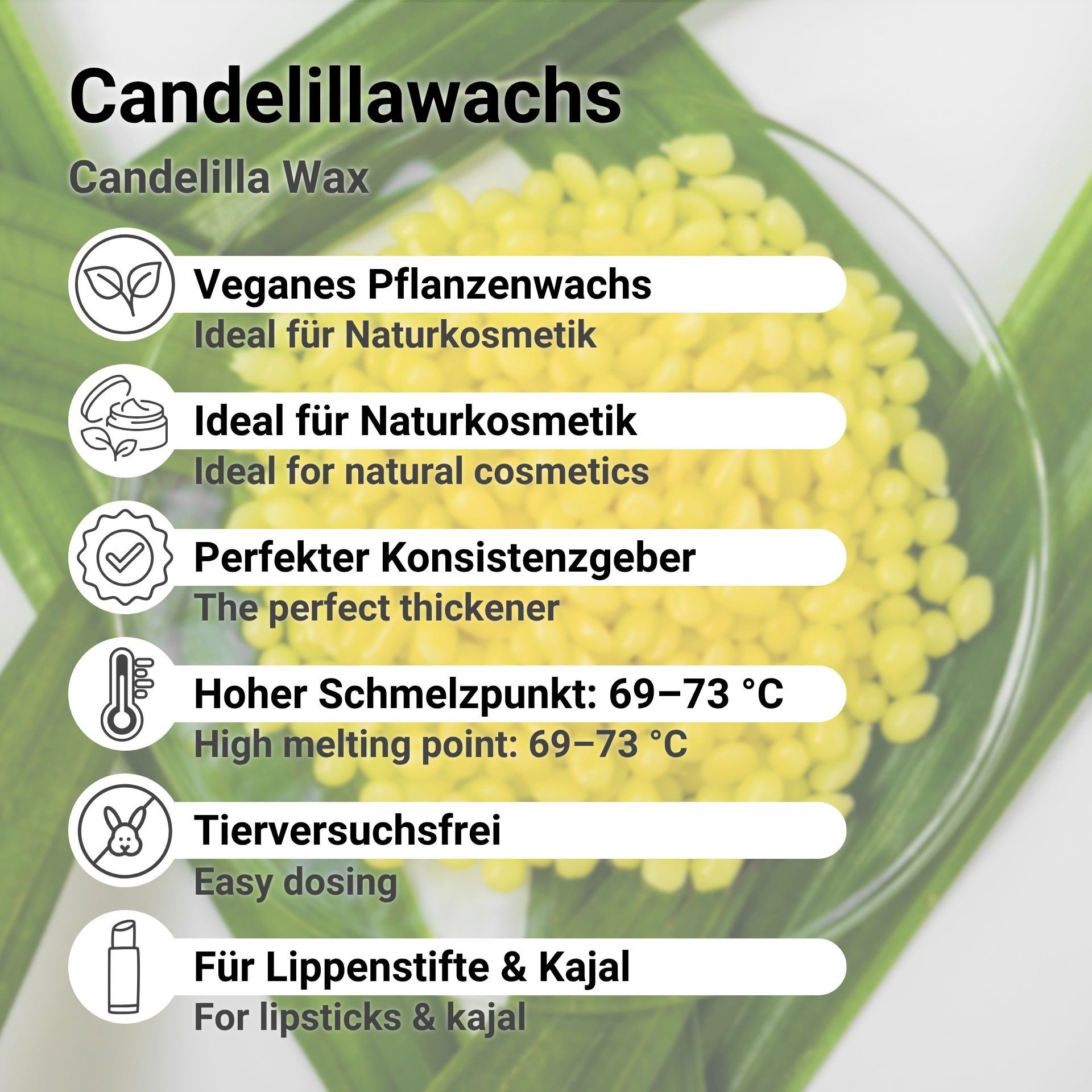 DistrEbution Kosmetik-Set Candelillawachs – Hartes Pflanzenwachs für Kosmetik, vegane Alternative zu Bienenwachs