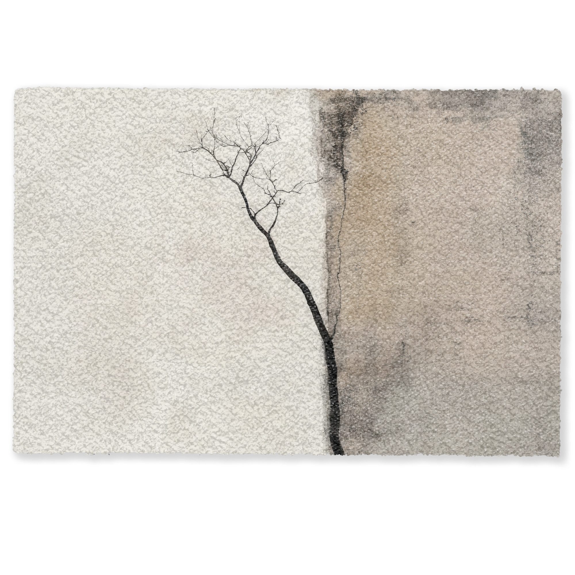 MuchoWow Fußmatte Wabi sabi - Pflanze - Beige, Rechteckig, innen Schmutzfan günstig online kaufen