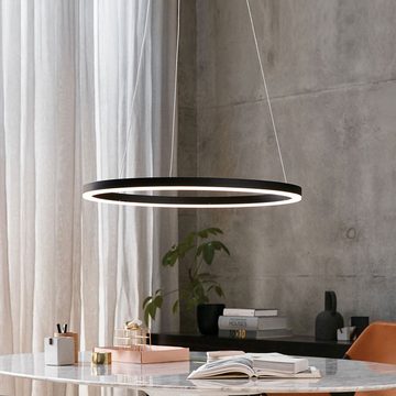 s.luce Pendelleuchte LED Pendellampe Ring 80 5m Aufhängung Alu-Gebürstet, Warmweiß
