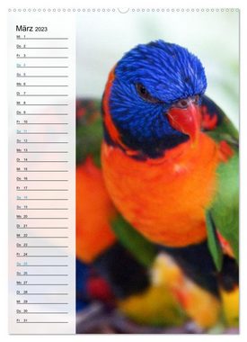 CALVENDO Wandkalender Australien mit Planer (Premium, hochwertiger DIN A2 Wandkalender 2023, Kunstdruck in Hochglanz)