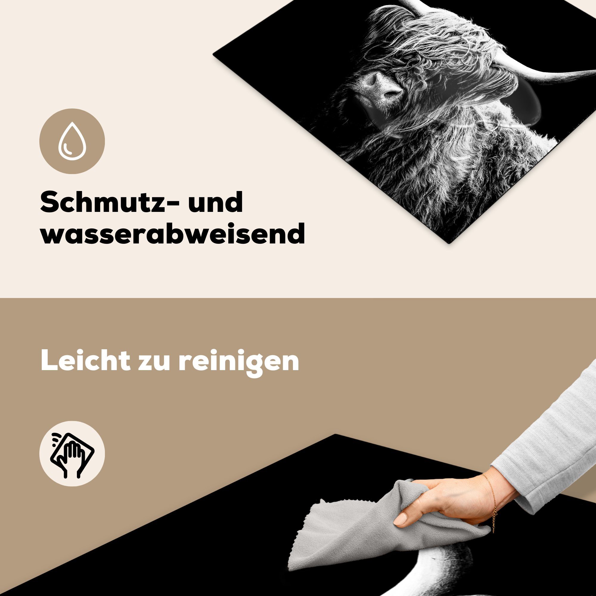 - Kuh cm, Schottischer - Weiß Vinyl, MuchoWow - Induktionsschutz, tlg), (1 57x51 Induktionskochfeld, Schwarz Ceranfeldabdeckung Herdblende-/Abdeckplatte - Tiere, Highlander