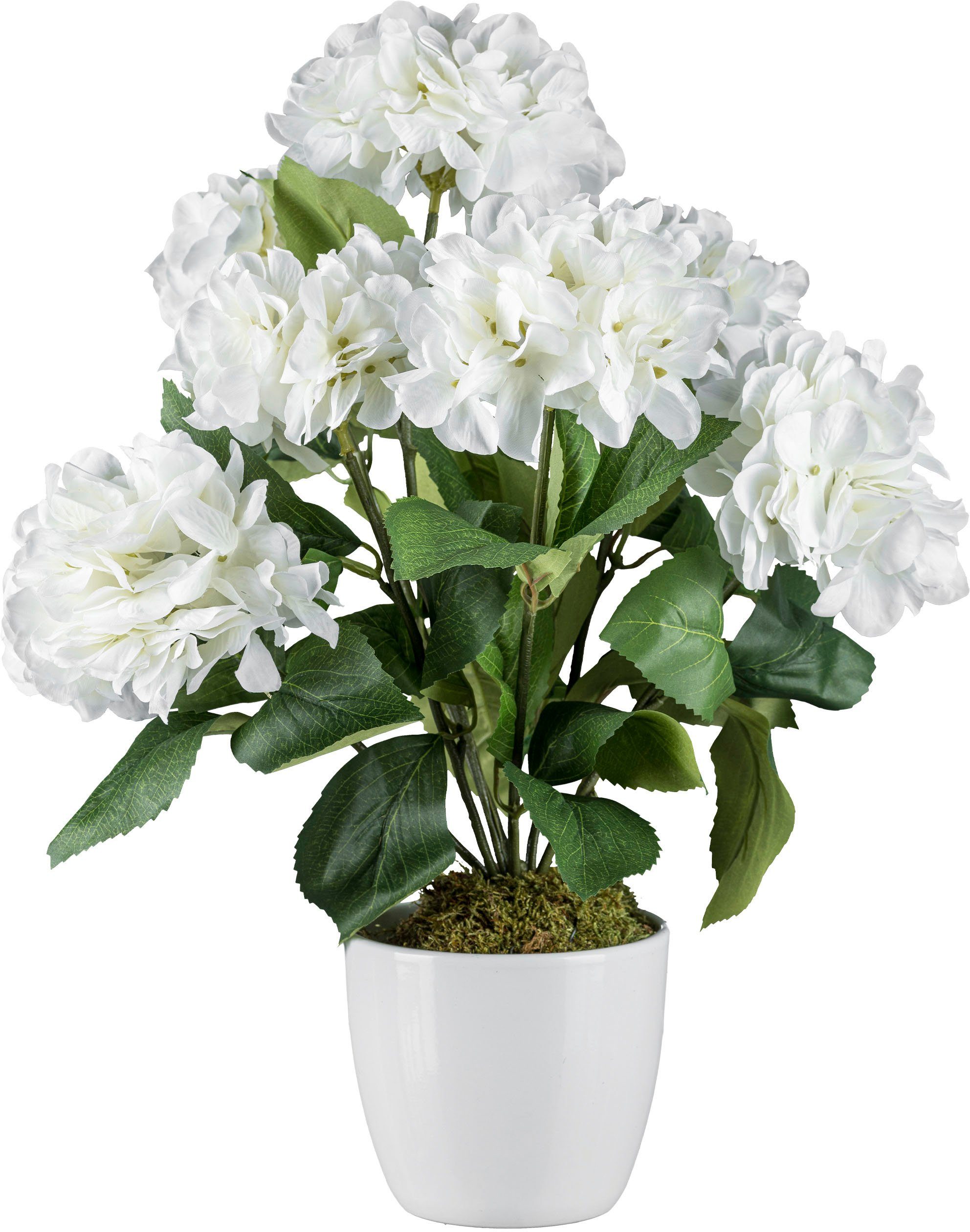 Kunstblume Hortensienbusch Hortensie, Creativ green, Höhe 52 cm