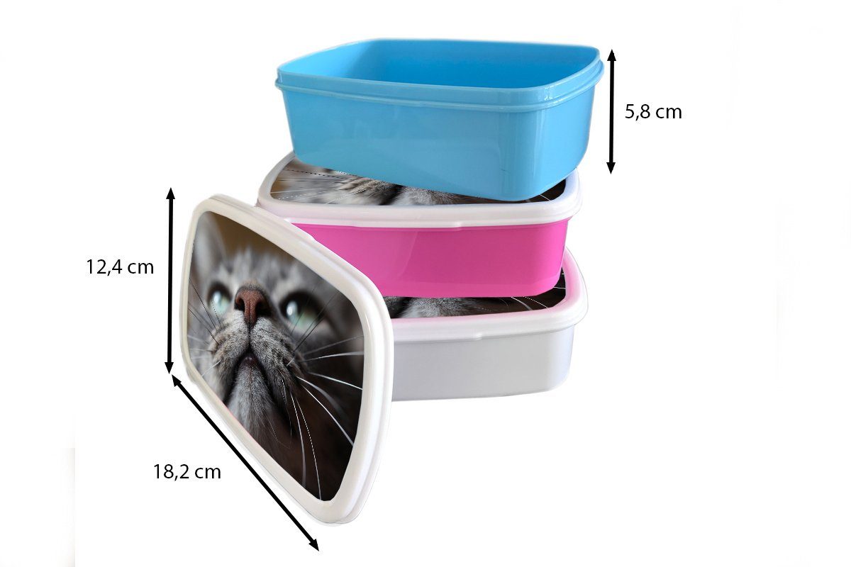 MuchoWow Lunchbox Katze - Nase Mädchen weiß Jungs - (2-tlg), für und Brotbox für Schnurrhaare, Erwachsene, und Kunststoff, Kinder Brotdose