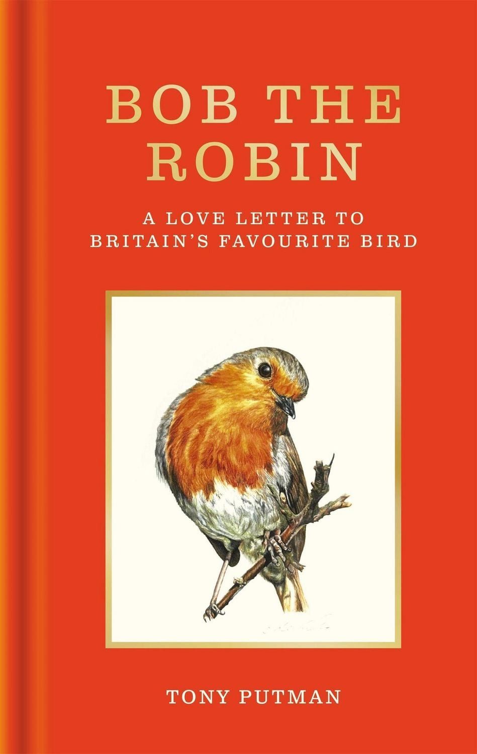 Bob the Robin / Tony Putman