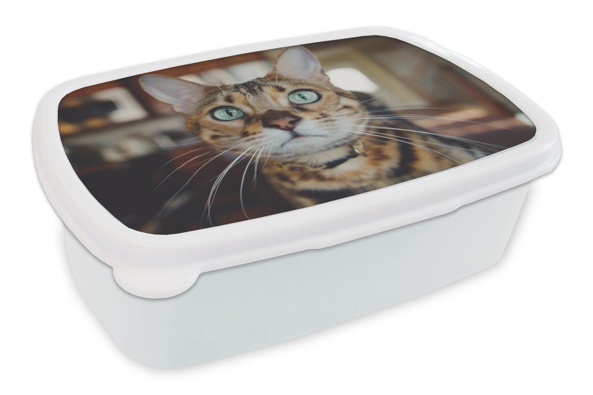 MuchoWow Lunchbox Katze - Schnurrhaare - Porträt, Kunststoff, (2-tlg), Brotbox für Kinder und Erwachsene, Brotdose, für Jungs und Mädchen weiß