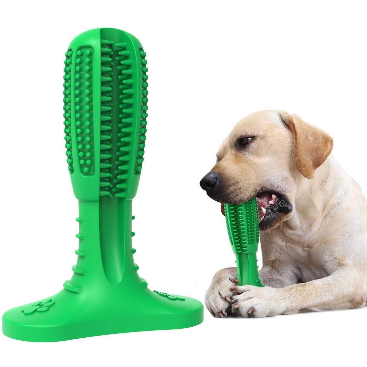 LuxusKollektion Zahnpflege-Spielzeug Hundespielzeug Kauspielzeug M Grün