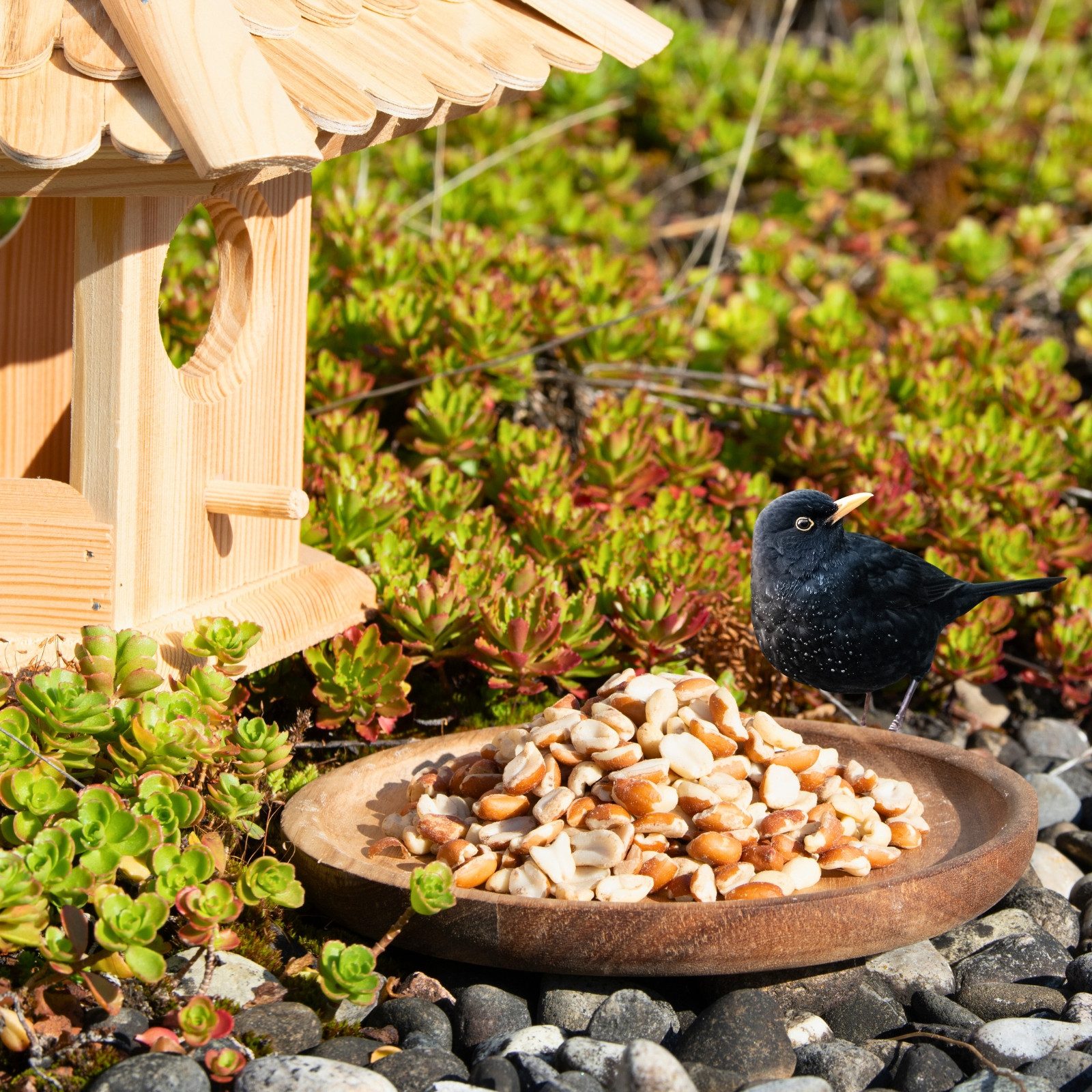 Lyra Pet 10 kg Lyra Pet® Erdnusskerne Splits gemischt blanchiert und mit Haut