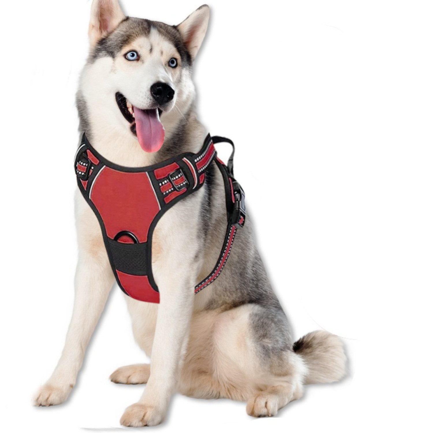 BYSURE Hunde-Geschirr, Leuchtendes Hundegeschirr, verstellbare Sicherheitsw günstig online kaufen