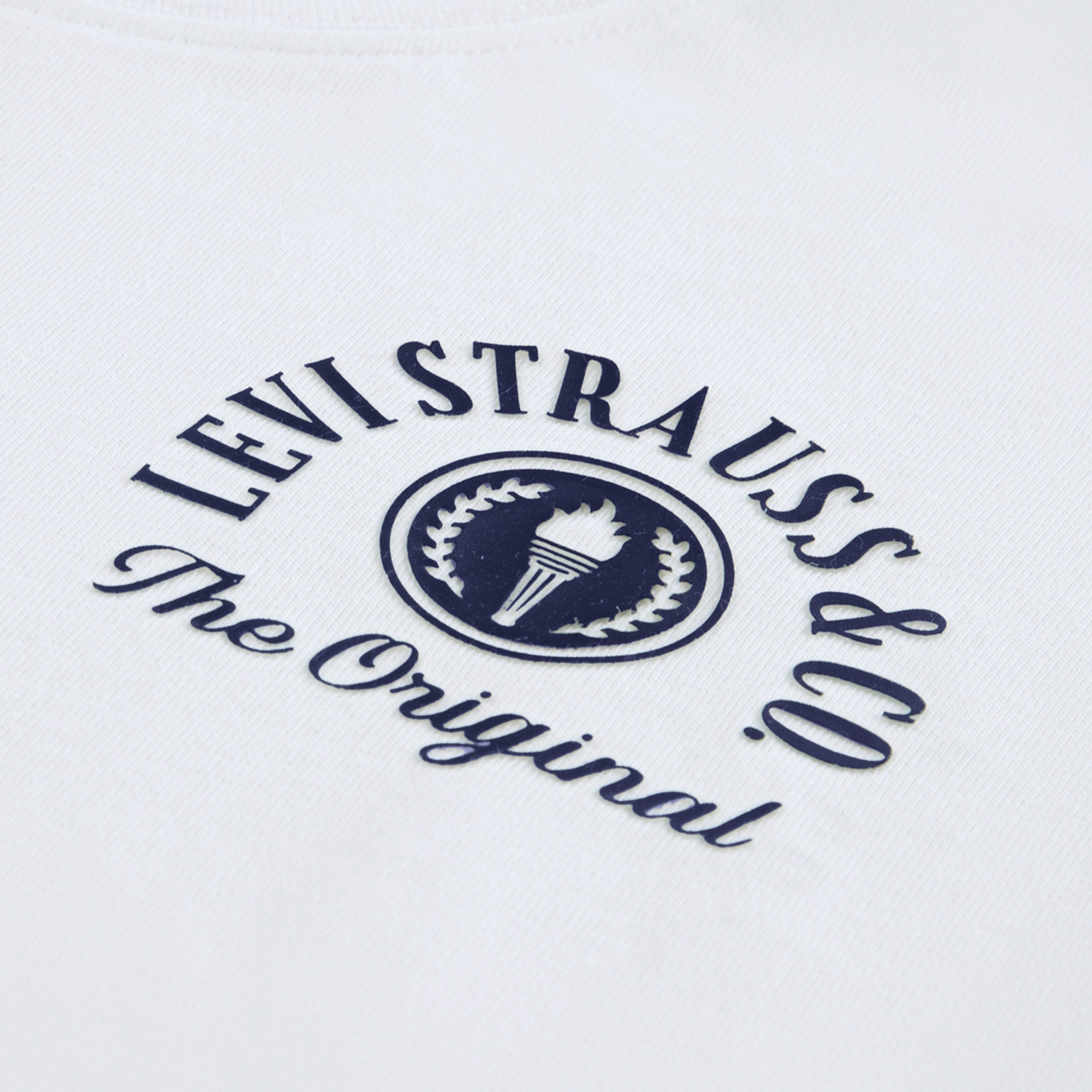 Levi's® Kids T-Shirt LVB URBAN PREP TEE for Boys, mit Stickerei und Print