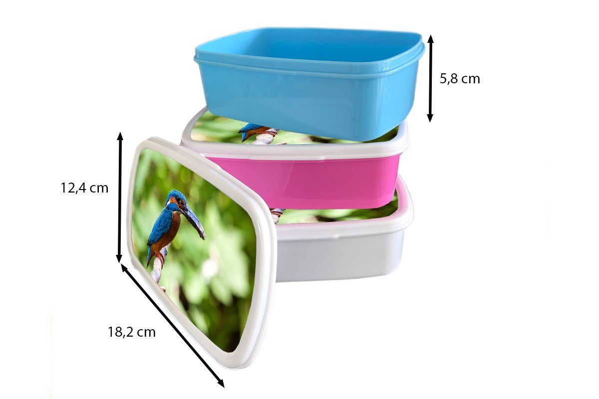 Snackbox, Brotbox Lunchbox Brotdose Kinder, Fisch - MuchoWow (2-tlg), Kunststoff, Kunststoff - für Baum, Erwachsene, rosa Eisvogel Mädchen,