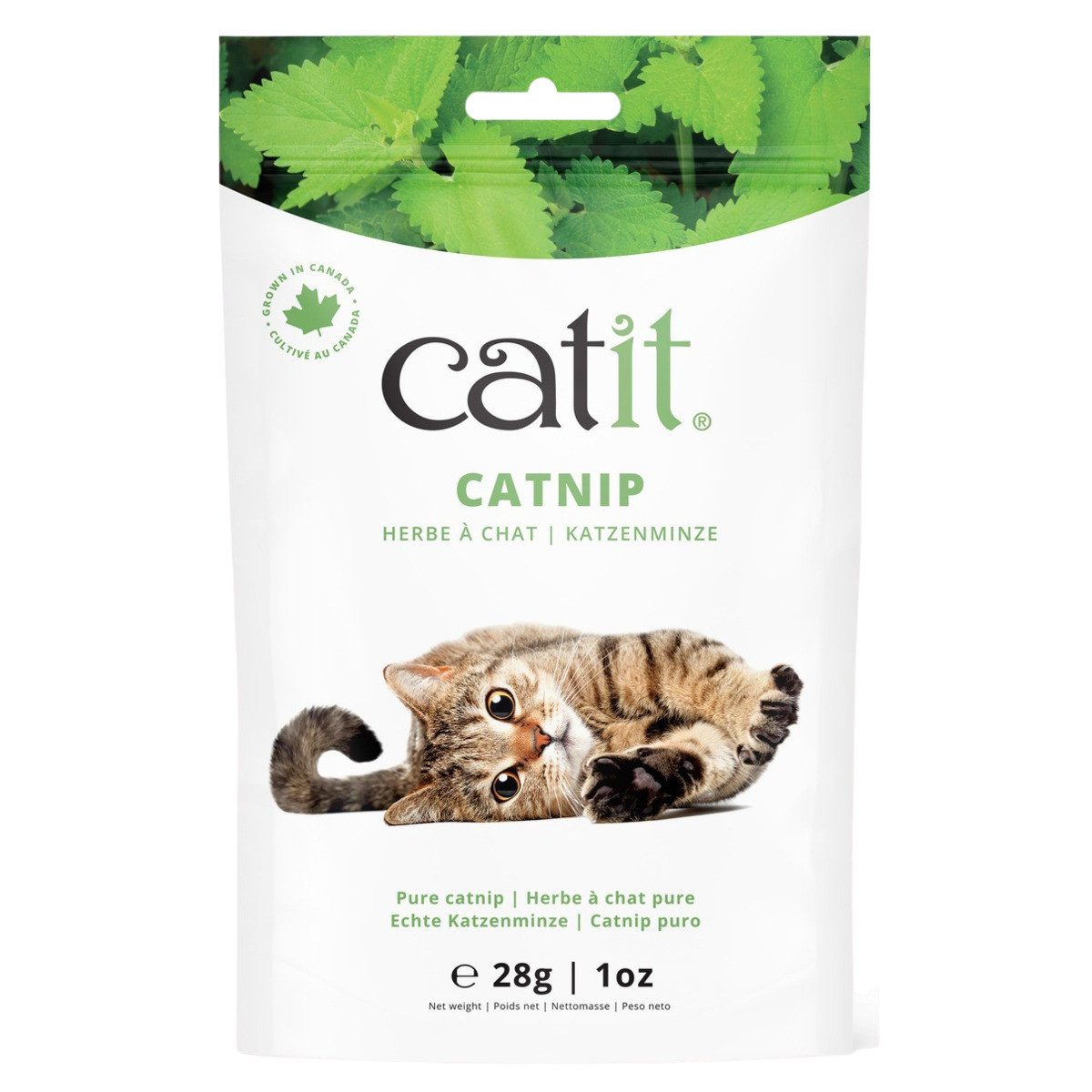 Catit Katzen-Spielspray Katzenminze