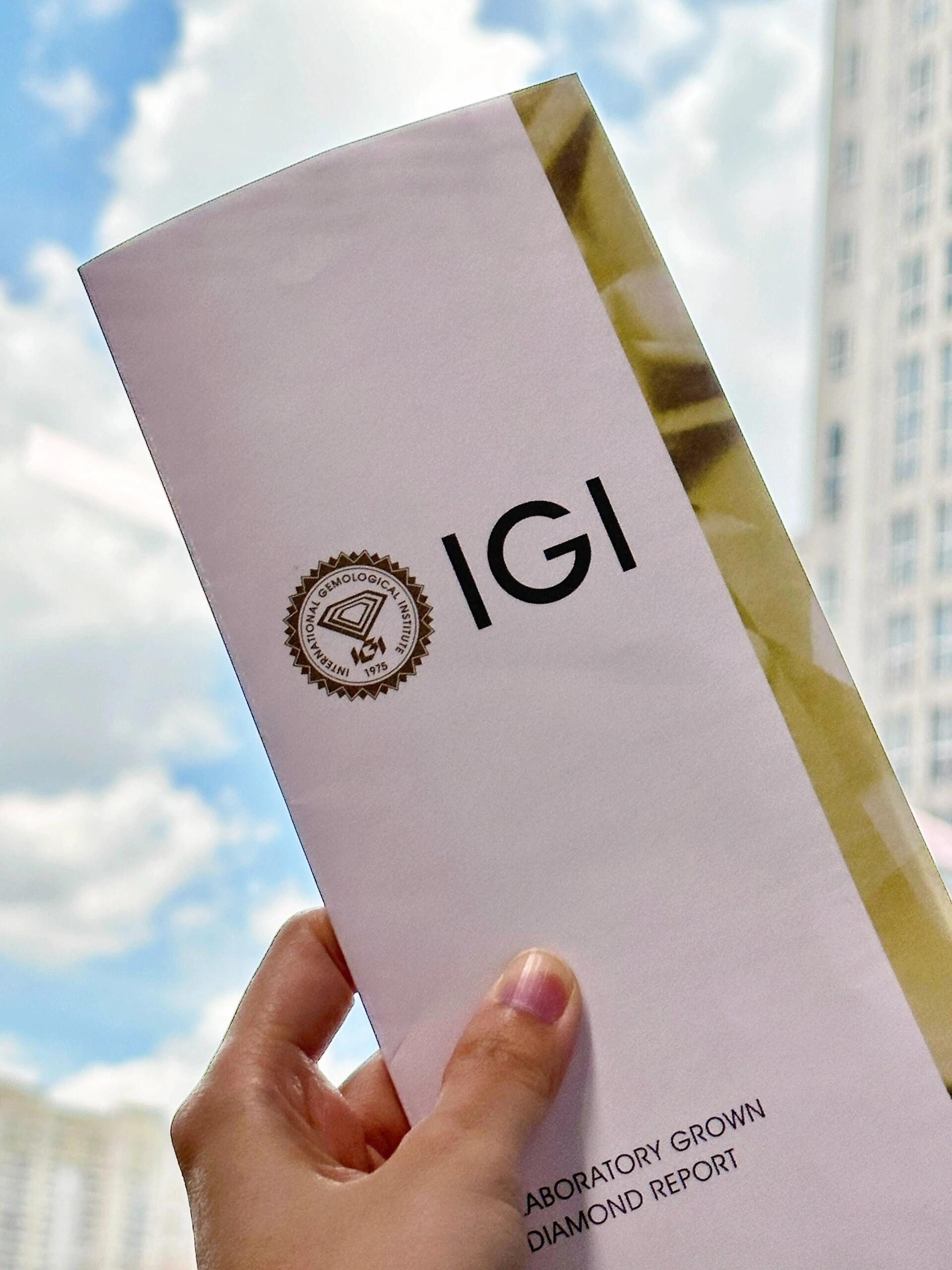 Jumpeak Trauring 585 Gold, 1.1 ct runder Diamantring im Brillantschliff, Hochzeitsset, E,vvs2,3EX,IGI-Zertifikat,ring damen,geschenk