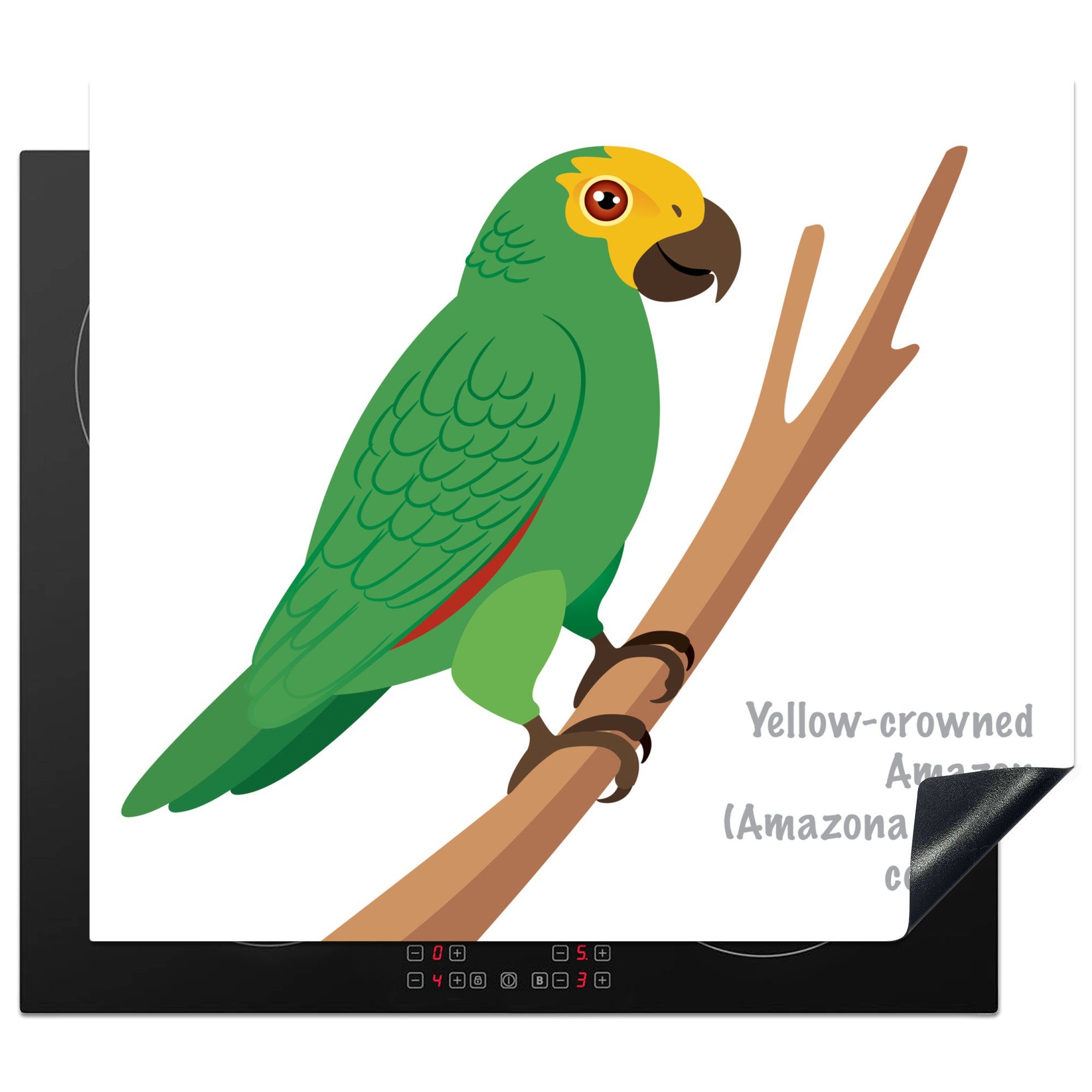 MuchoWow Herdblende-/Abdeckplatte Eine Illustration eines grünen Papageis, Vinyl, (1 tlg), 57x51 cm, Induktionsschutz, Induktionskochfeld, Ceranfeldabdeckung