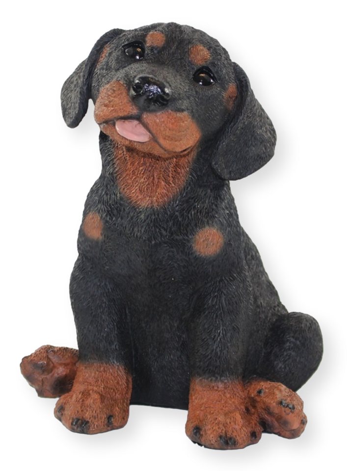 Castagna Dekofigur Deko Figur Hund Rottweiler Welpe Hundefigur sitzend  Kollektion Castagna aus Resin Höhe 23 cm