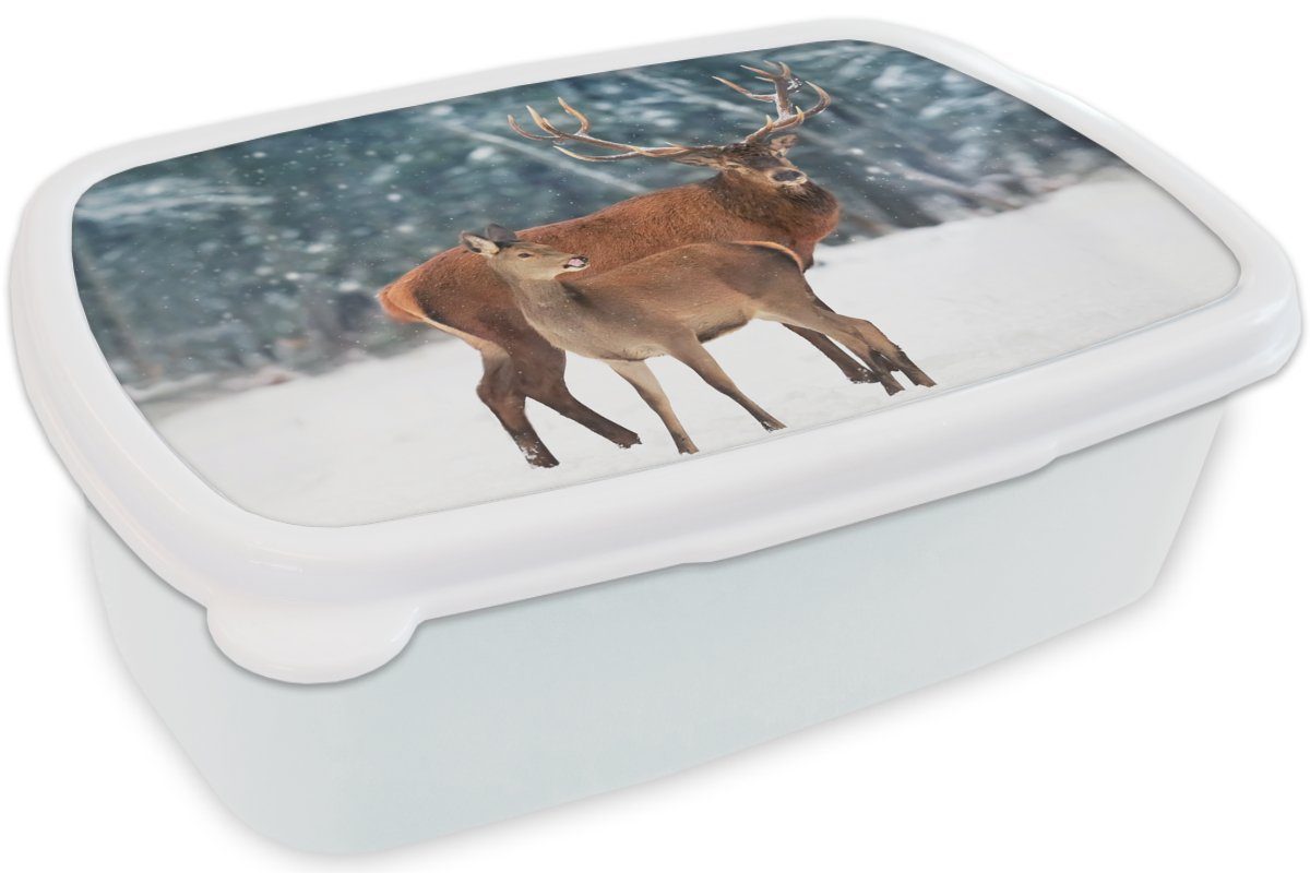 MuchoWow Lunchbox (2-tlg), - Jungs Brotdose, und Mädchen Kinder Erwachsene, Wald für weiß Schnee, für - Kunststoff, und Brotbox Hirsche