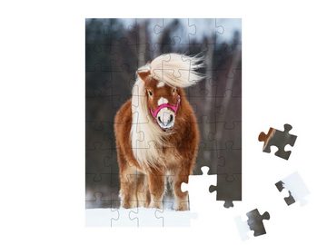 puzzleYOU Puzzle Mini Shetland Ponyhengst mit wunderschöner Mähne, 48 Puzzleteile, puzzleYOU-Kollektionen Pferde, Shetlandpony