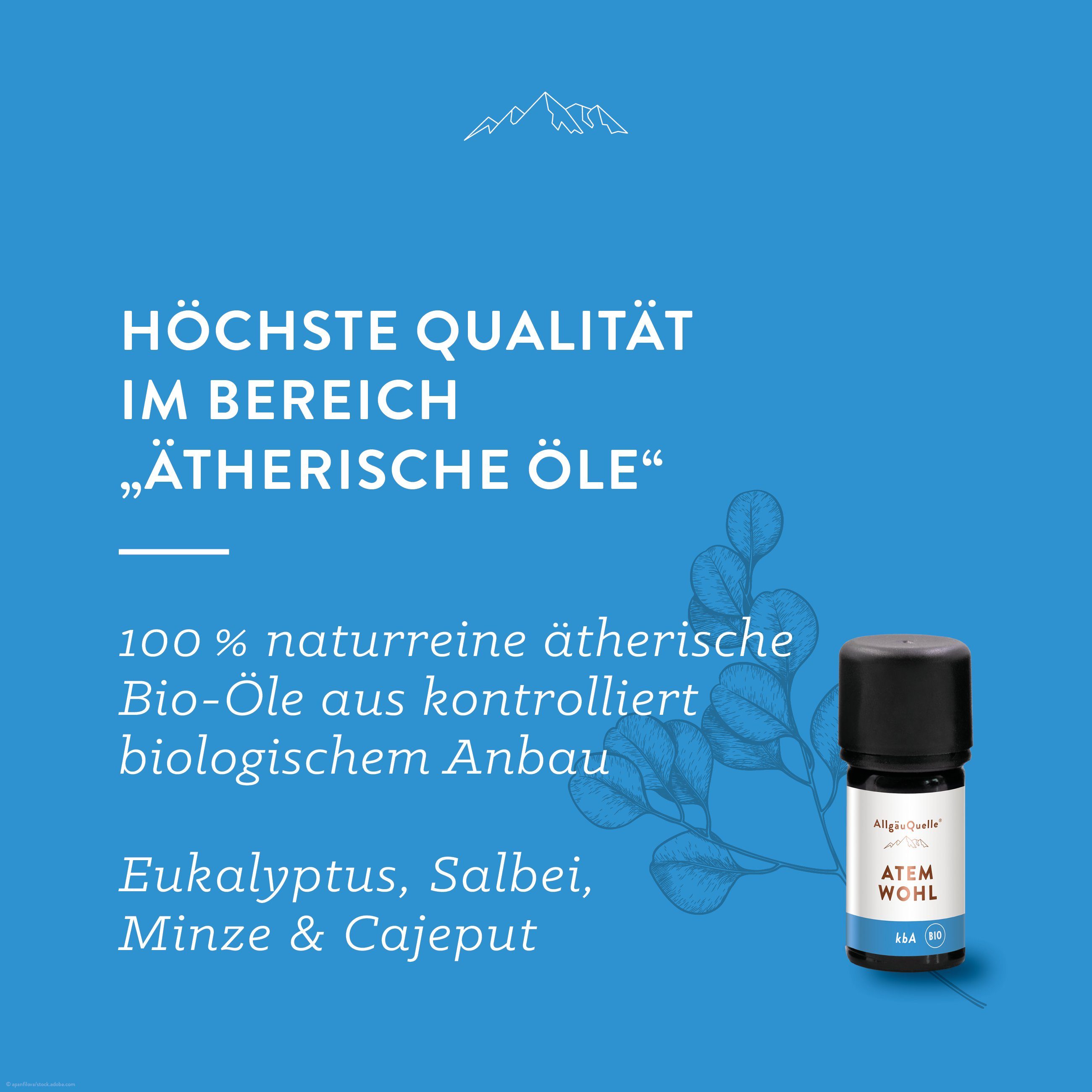 Allgäuquelle Duftöl ATEMWOHL Duftmischung, 5ml, BIO ätherische Öle (1 x 5ml), aus Eukalyptus, Salbei, Minze und Cajeput