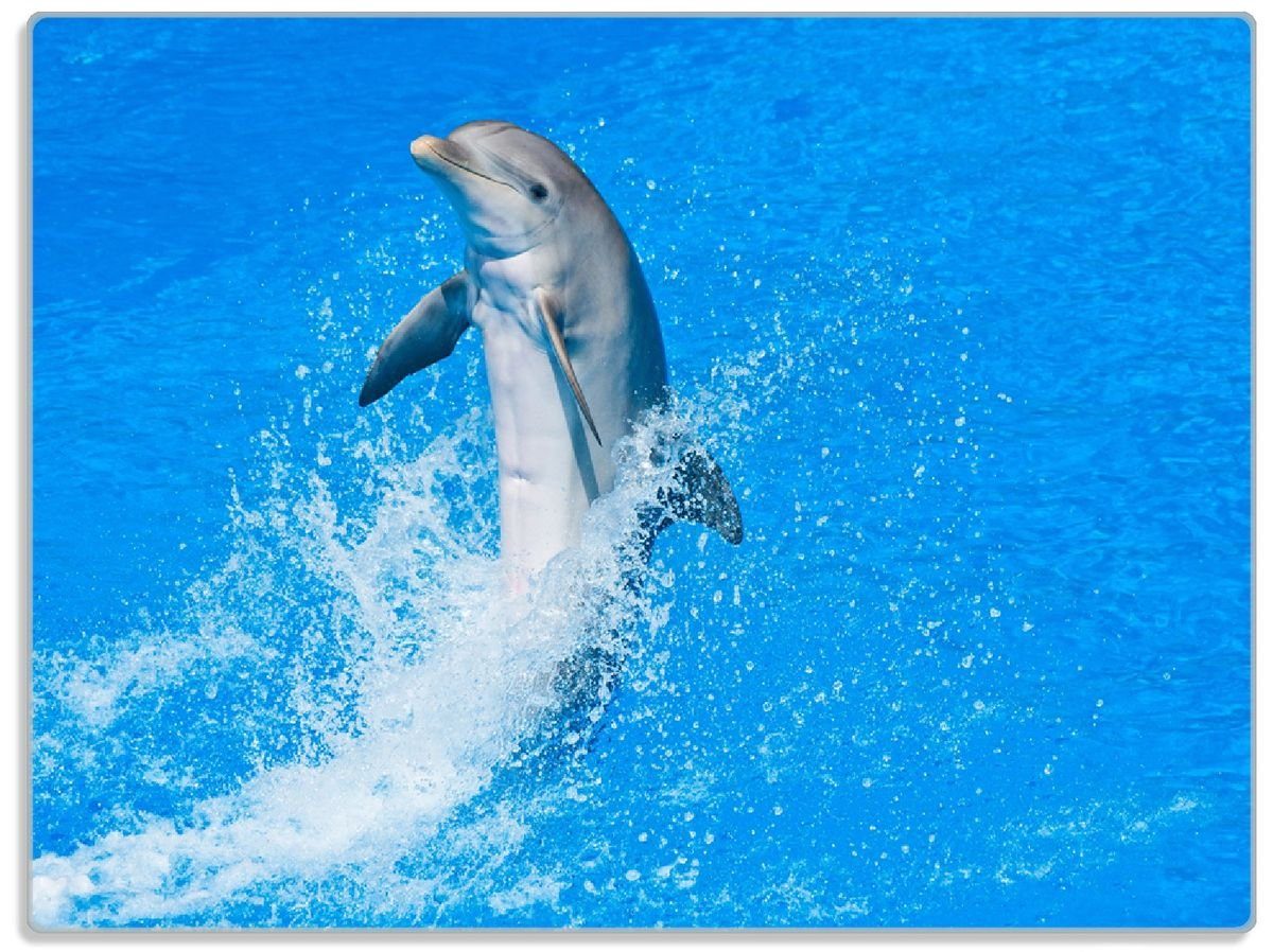Wasser, (inkl. blauen 30x40cm Fröhlicher rutschfester Wallario Gummifüße ESG-Sicherheitsglas, im Delfin 1-St), 4mm, Schneidebrett
