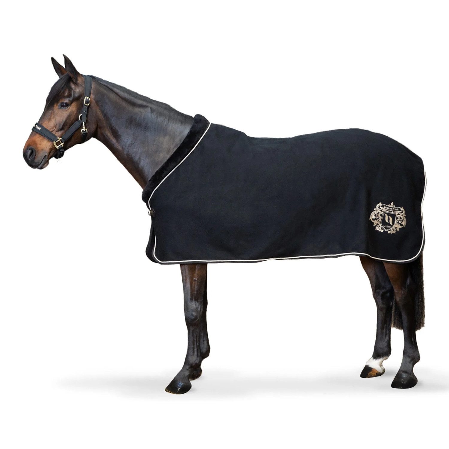Back on track Ausreitdecke Back on Track Edward Wool Rug