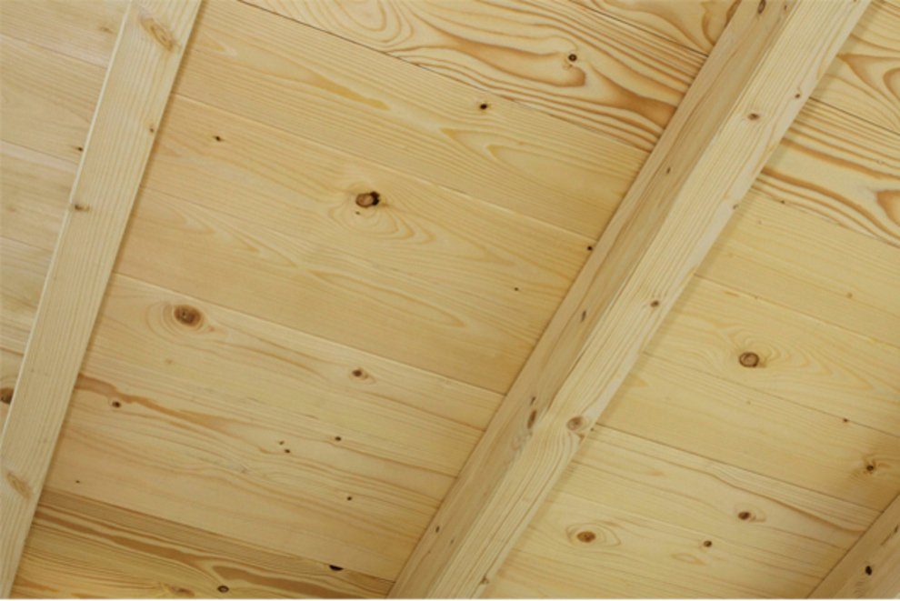 Skanholz Doppelcarport Wendland, BxT: 630x879 cm, 216 cm Einfahrtshöhe