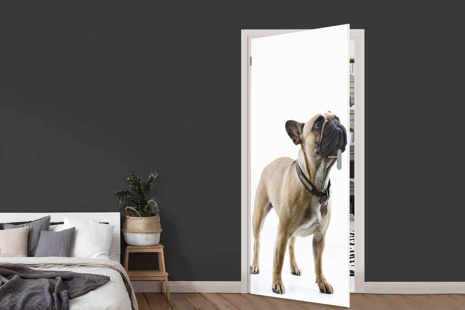 Tür, St), Türaufkleber, bedruckt, Bulldogge Matt, Braun, cm Türtapete Französische Fototapete - - für MuchoWow 75x205 Halsband (1