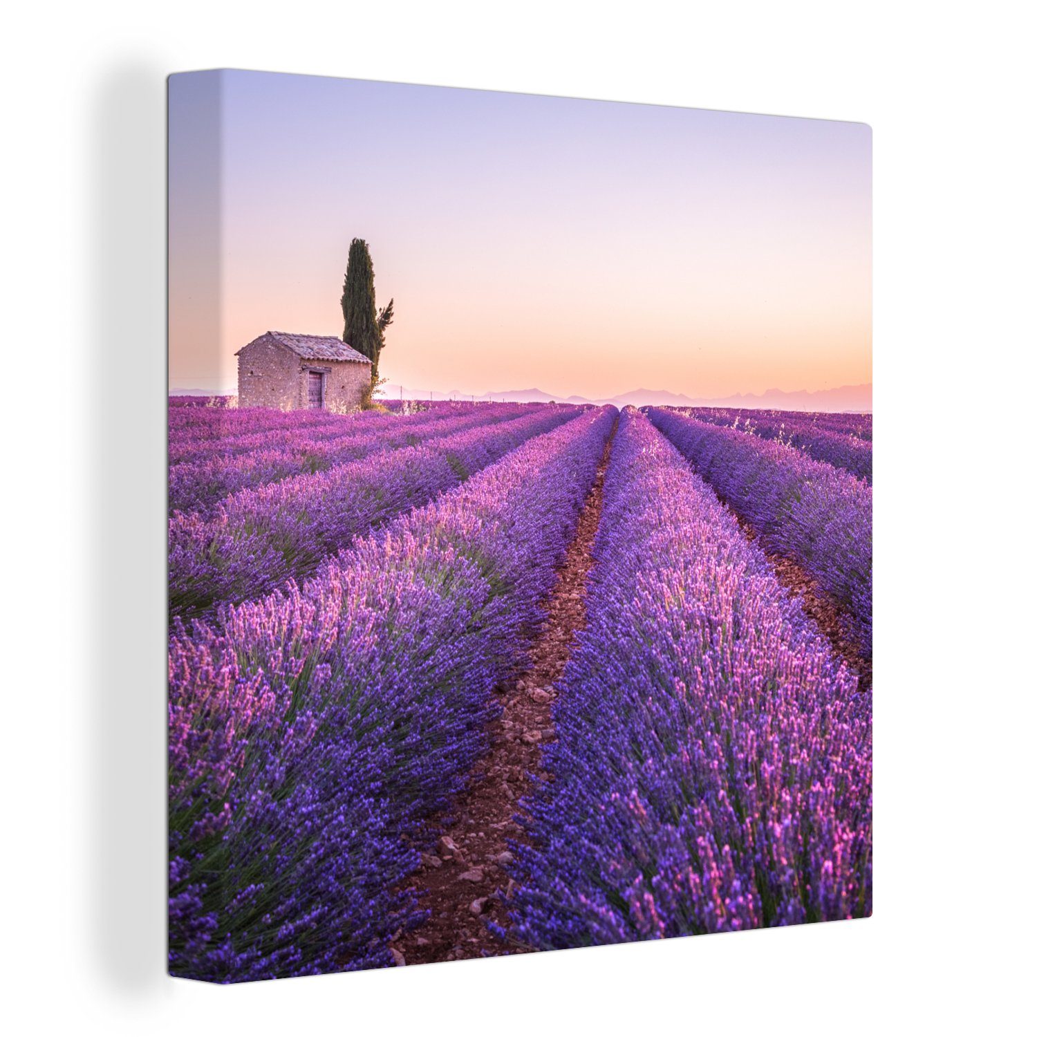 OneMillionCanvasses® Leinwandbild Lavendel - Sonnenuntergang - Lila - Blumen, (1 St), Leinwand Bilder für Wohnzimmer Schlafzimmer