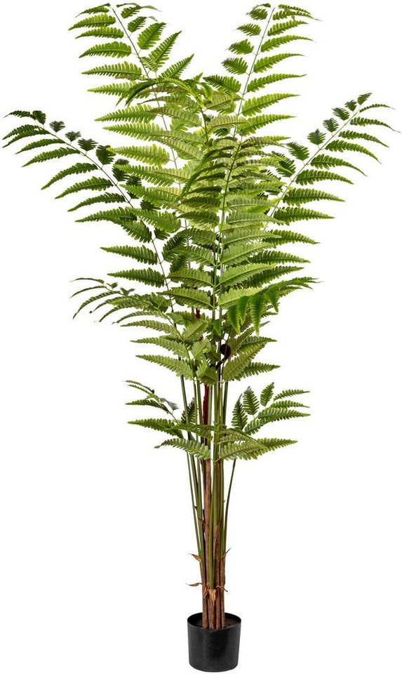 Künstliche Zimmerpflanze Lederfarnpflanze Farn, Creativ green, Höhe 180 cm,  Liebevoll der Natur nachempfunden