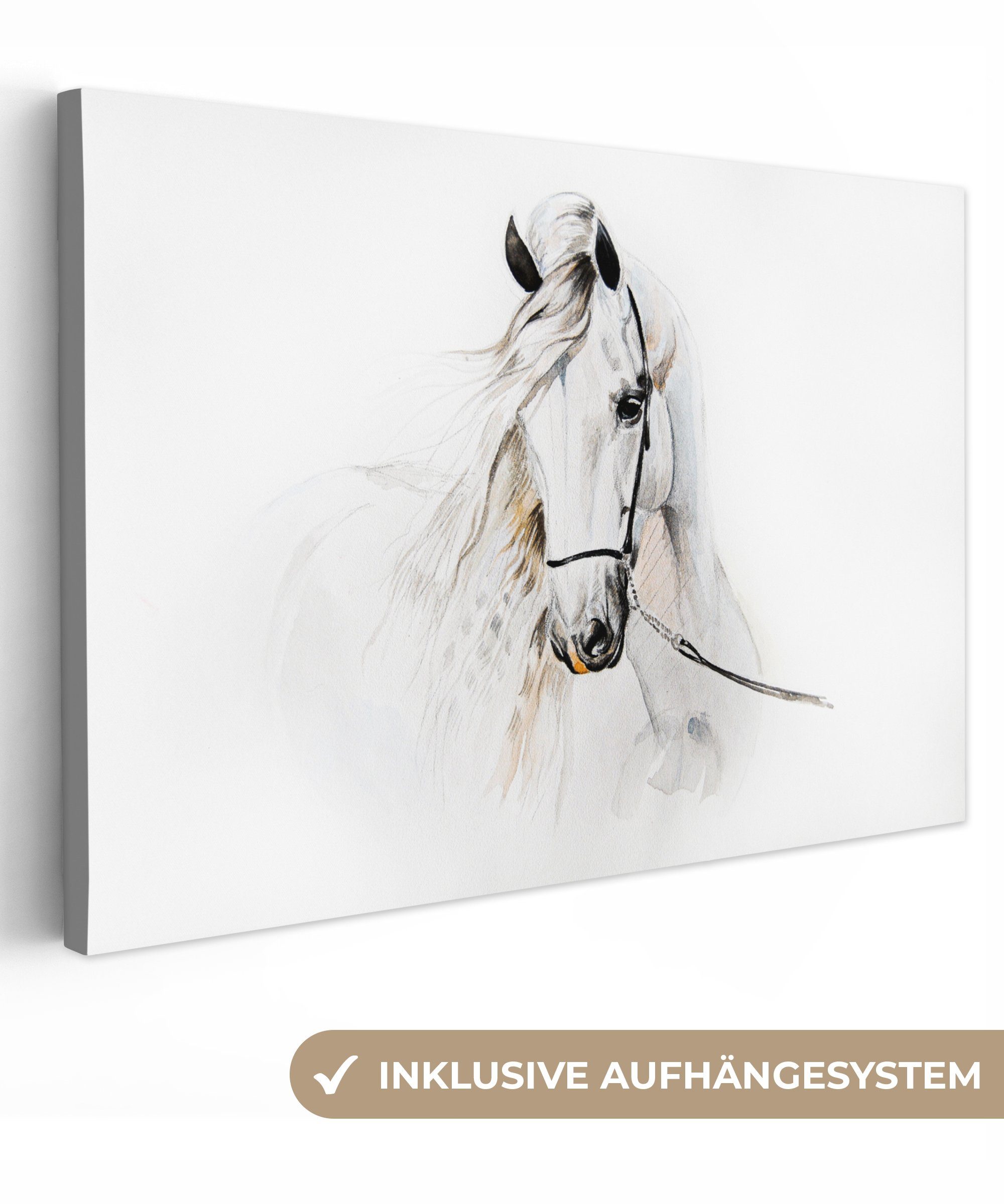OneMillionCanvasses® Leinwandbild Pferd - Aquarell - Tiere - Weiß, Fotodruc günstig online kaufen