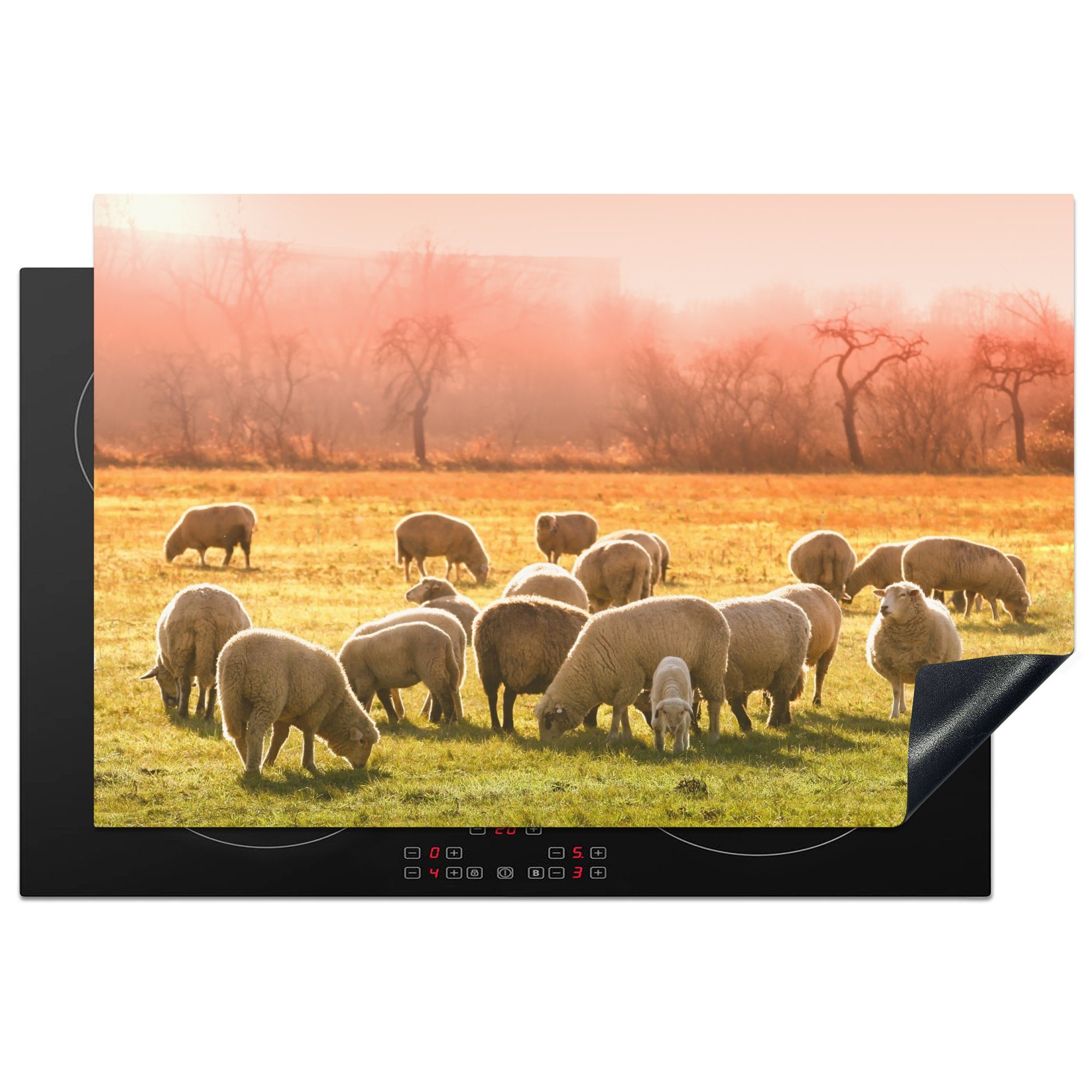 MuchoWow Herdblende-/Abdeckplatte Tiere - Schafe - Gras, Vinyl, (1 tlg), 81x52 cm, Induktionskochfeld Schutz für die küche, Ceranfeldabdeckung