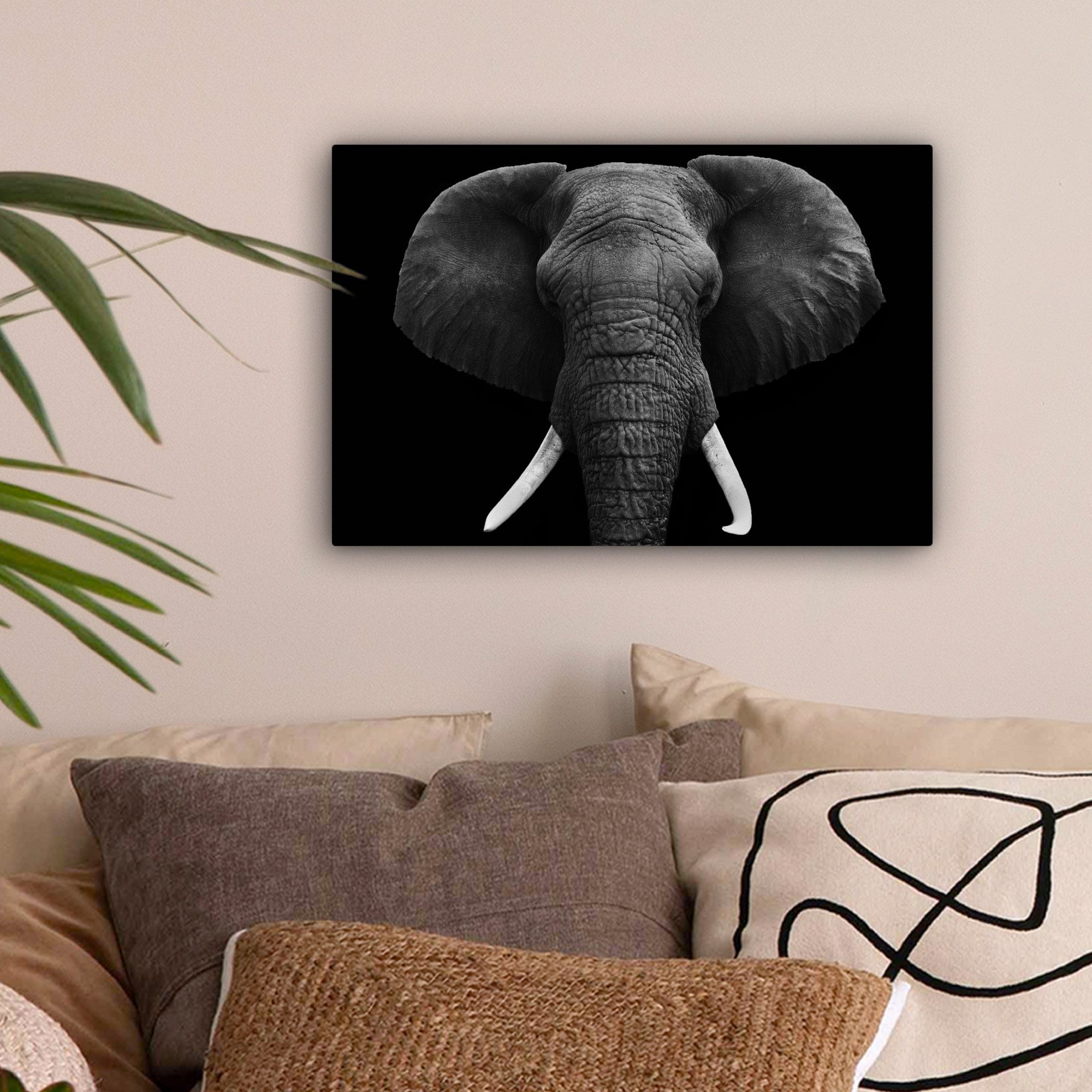 OneMillionCanvasses® Leinwandbild Elefant - Wildtiere - Schwarz - Weiß - Po günstig online kaufen