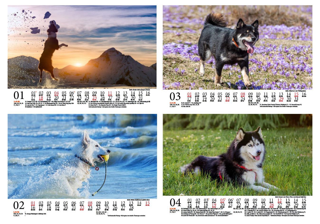 Seelenzauber Wandkalender Hundezauber Große Hunde DIN A5 Kalender für 2026 Welpen und Hunde