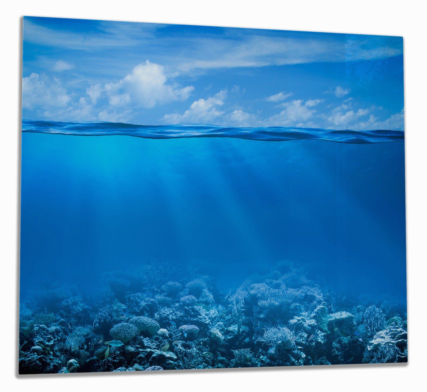 Wallario Herd-Abdeckplatte Unterwasserwelt Meer, ESG-Sicherheitsglas, (Glasplatte, 1 tlg., inkl. 5mm Noppen), verschiedene Größen