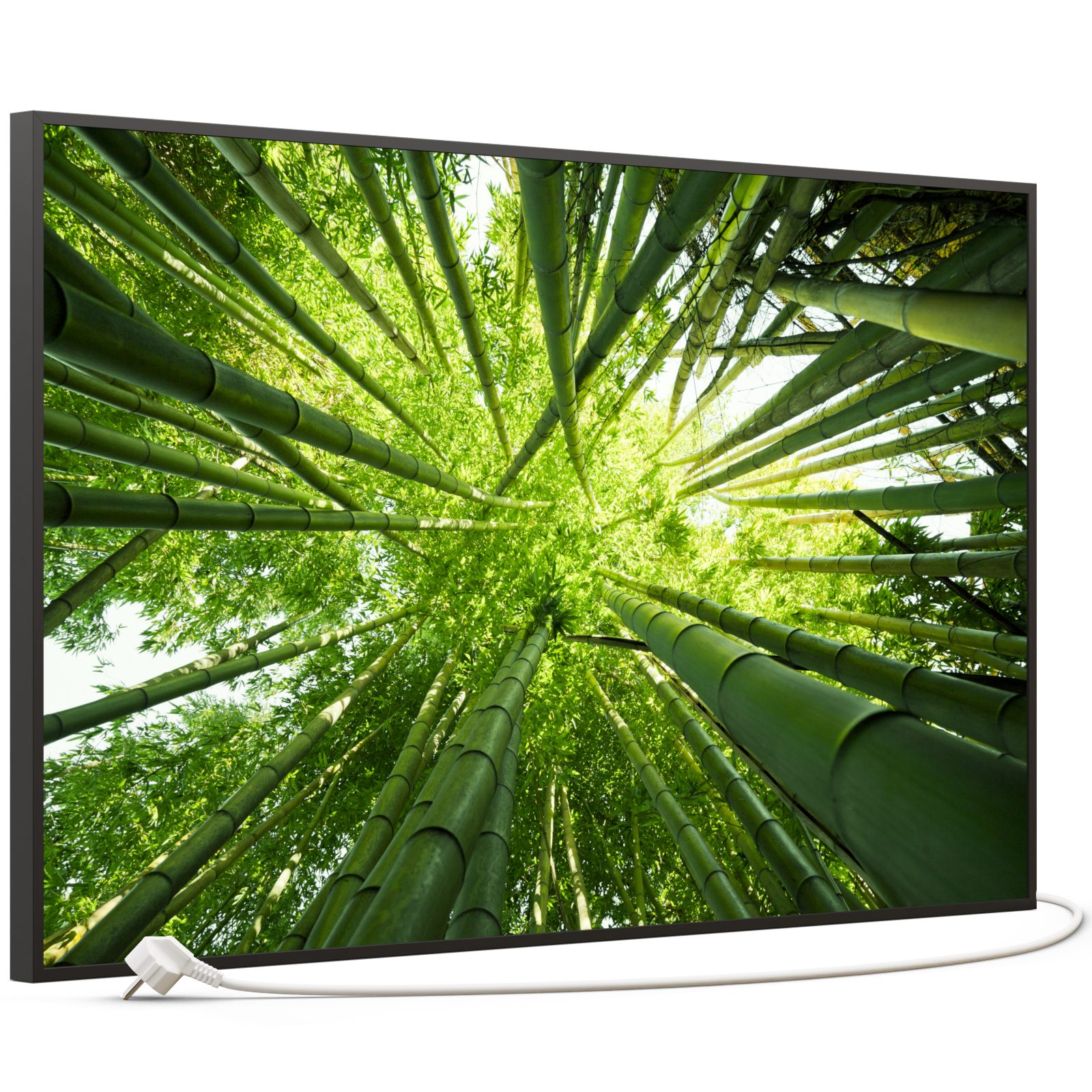 STEINFELD Heizsysteme Infrarotheizung, Bild, 600W 100x60cm, Inklusive Thermostat, viele Motive