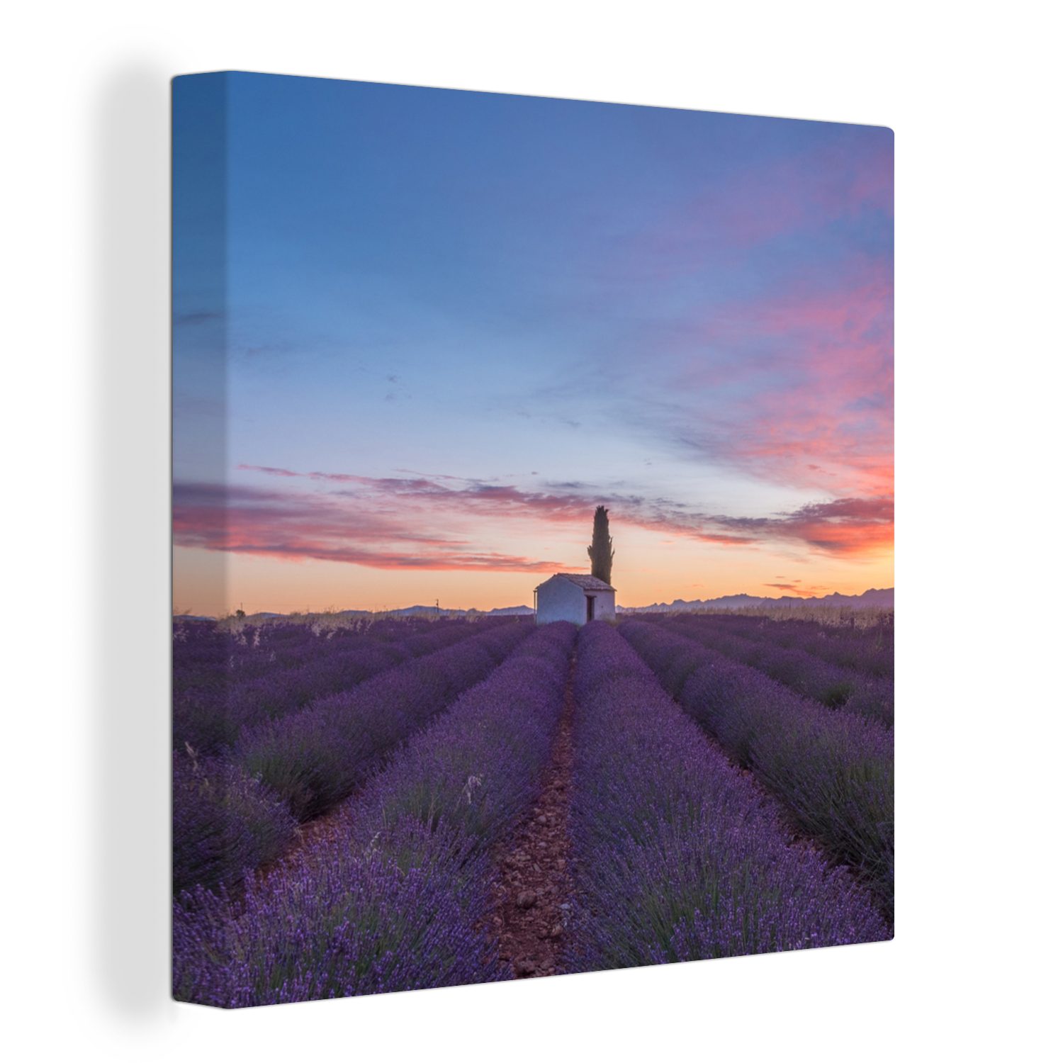 OneMillionCanvasses® Leinwandbild Frankreich - Lavendel - Sonne, (1 St), Leinwand Bilder für Wohnzimmer Schlafzimmer