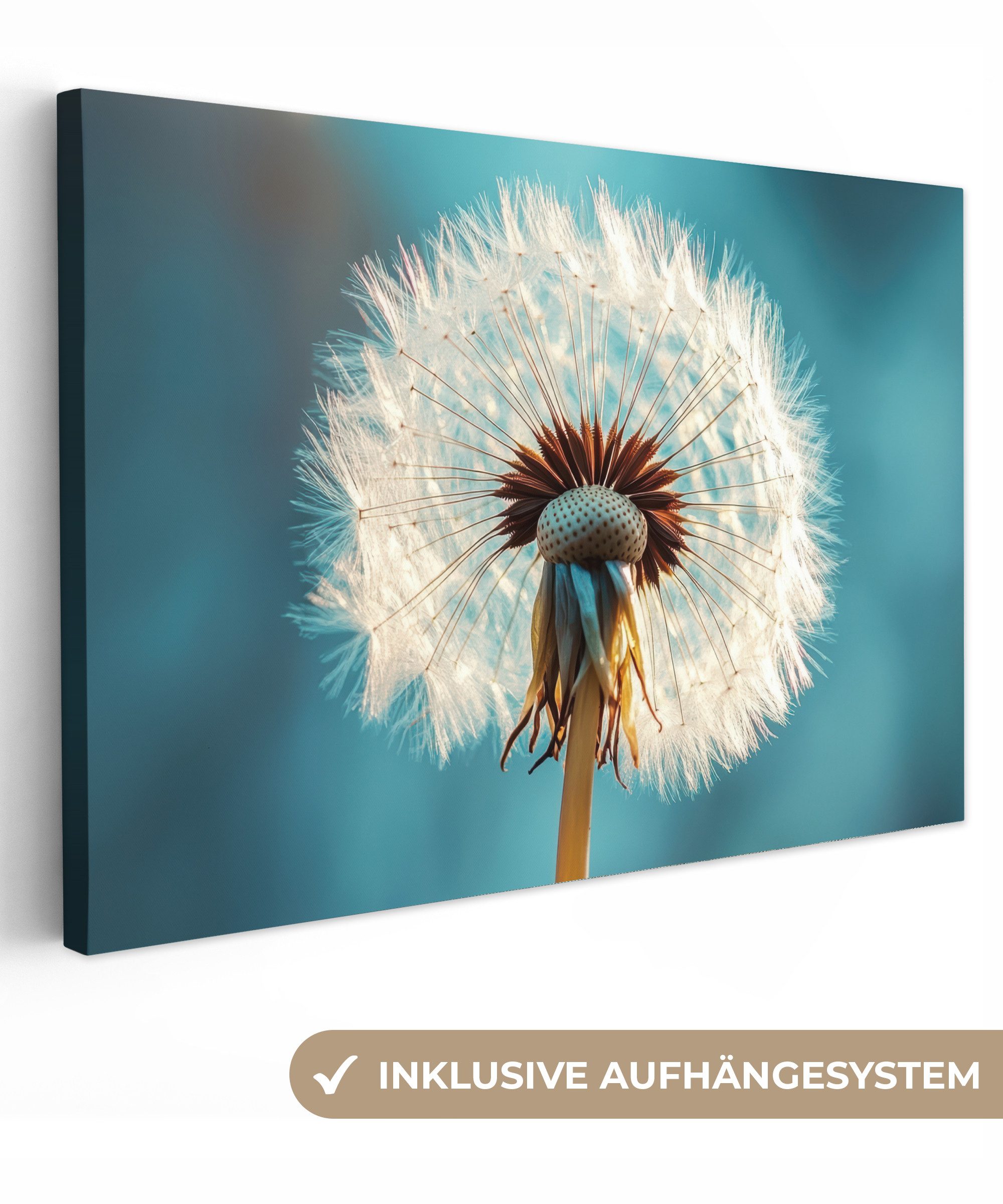 OneMillionCanvasses® Leinwandbild Löwenzahn - Natur - Blumen - Blau, Fotodruck (1 St), Leinwand Изображения Klein, Wand Dekoration Aesthetic 30x20 cm