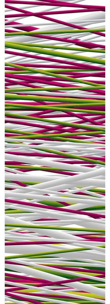 Architects Paper Fototapete New Bamboo, (1 St), Grafik Tapete Bunt Panel 1,00m x 2,80m