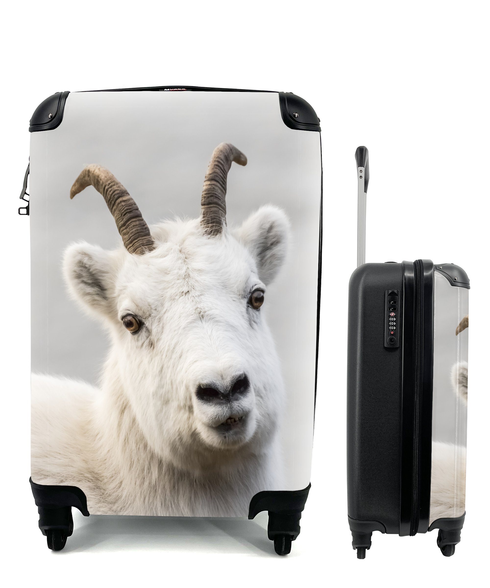 mit Reisetasche Trolley, 4 Handgepäckkoffer Reisekoffer - Rollen, Ferien, Schaf für Horn Weiß, MuchoWow Handgepäck rollen, -