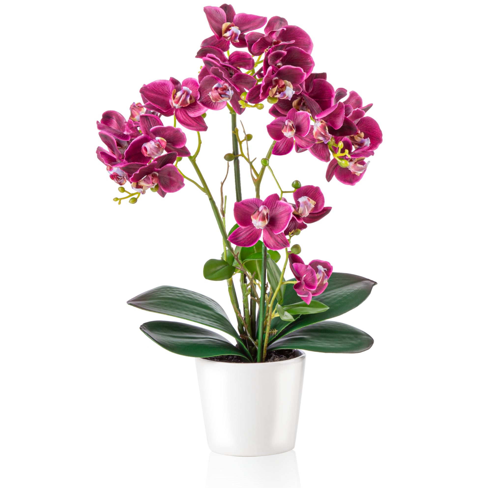 Kunstorchidee PASCH® Orchidee künstlich wie echt (46cm) in Hochglanz-Keramiktopf Orchidee, PASCH, Real Touch