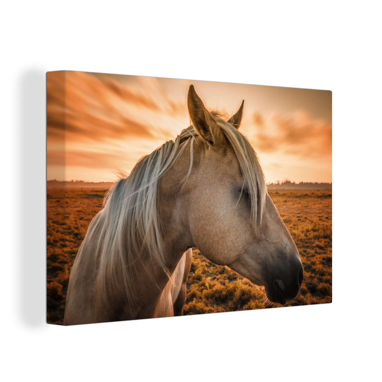 OneMillionCanvasses® Leinwandbild Pferd - Sonne - Orange, (1 St), Wandbild Leinwandbilder, Aufhängefertig, Wanddeko, 30x20 cm | Leinwandbilder