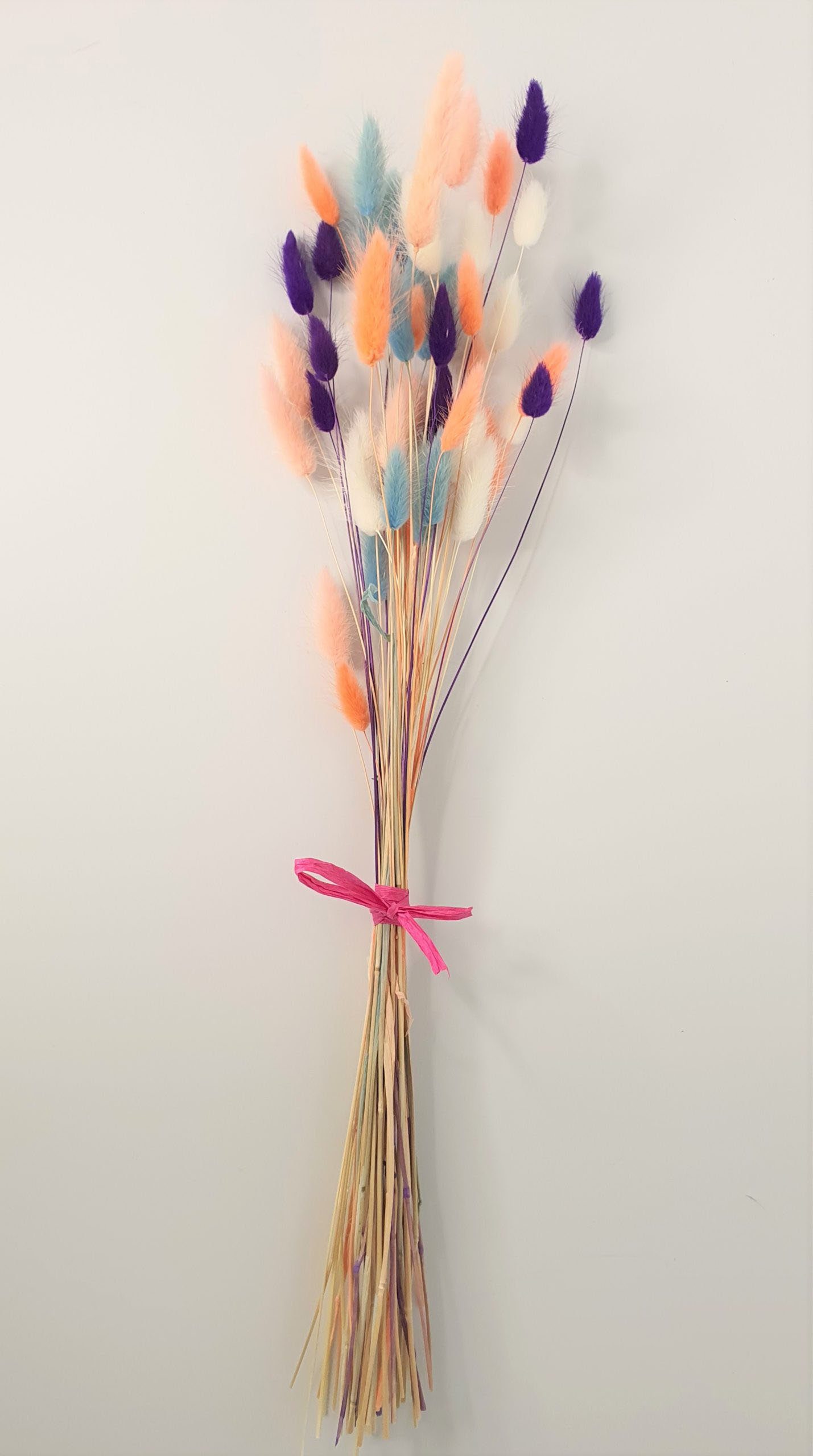 Trockenblume »Colorbomb«, Everflowers, Höhe 60 cm, Lagurus Mix-HomeTrends