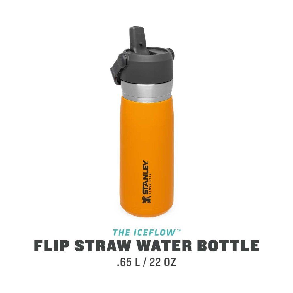 IceFlow Stanley STANLEY Water orange Straw Bottle Flip Isolierkanne