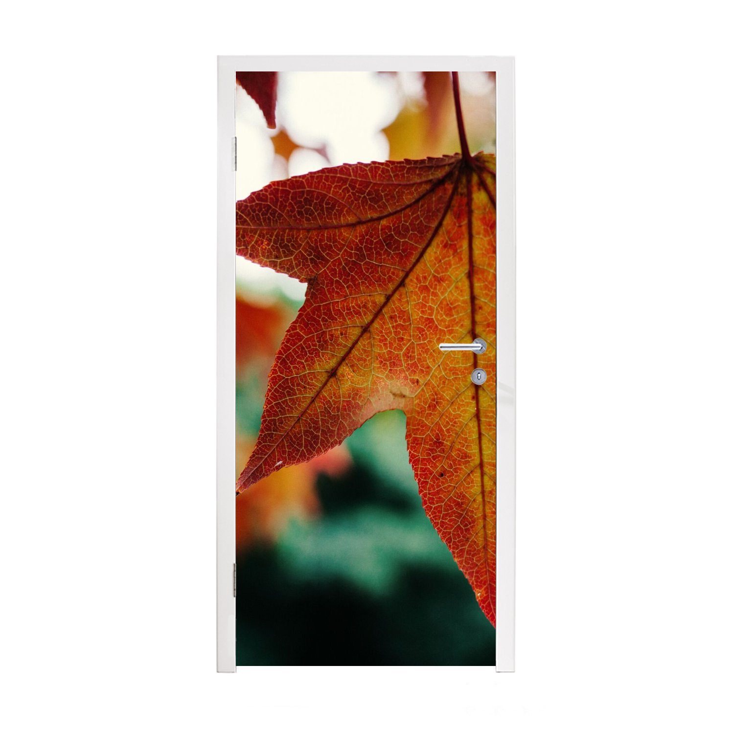 - Blätter Türtapete (1 Türaufkleber, St), - für Jahreszeiten Tür, Herbst 75x205 cm - MuchoWow bedruckt, - Landleben Matt, Landleben, Fototapete